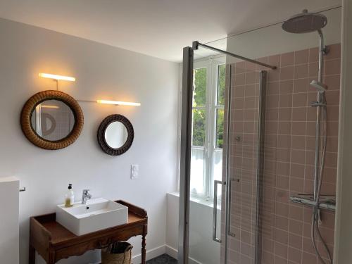 a bathroom with a sink and a shower at La Grimaudière in La Chapelle-sur-Erdre