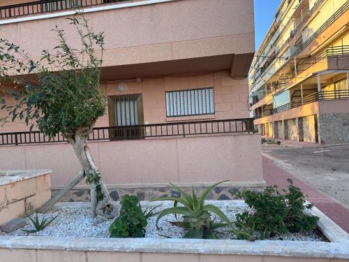 Maison Miramar Cabo Cervera photo 25