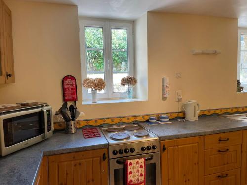 a kitchen with a stove and a microwave at Gite - Val Couesnon in Saint-Ouen-de-la-Rouërie