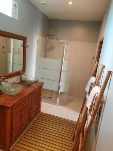 un baño con dos lavabos y una ducha en La Maison Genevier - Chambre Marguerite, en Montreuil-en-Touraine