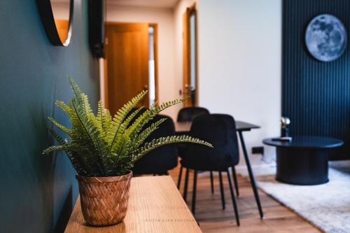 a potted plant sitting on top of a wooden table at Pinska Family Apartment in Päri