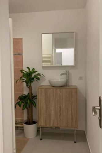 La salle de bains est pourvue d'un lavabo, d'un miroir et d'une plante. dans l'établissement Superbe appartement en résidence, à Sainte-Maxime