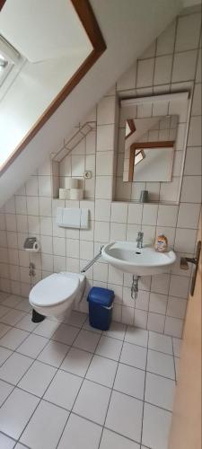 a bathroom with a sink and a toilet at Pension Greiser in Leipzig