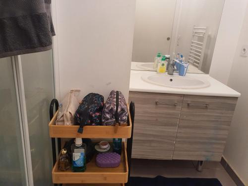 オーベルヴィリエにあるMaison Familiale JO 2024の洗面台と鏡付きの化粧台を備えたバスルーム