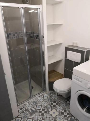 La salle de bains est pourvue d'une cabine de douche et de toilettes. dans l'établissement BLUE BAY Les pieds dans l'eau - Face à la mer, à Saint-Cyprien