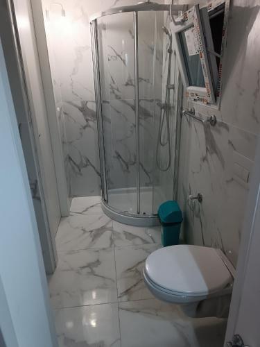 a bathroom with a shower and a toilet at Locazione turistica 2 in Tessera