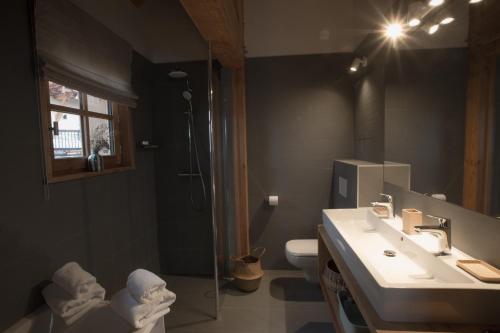 une salle de bain avec un lavabo, une douche et des toilettes dans l'établissement Notre Horizon, à Villard-Reculas