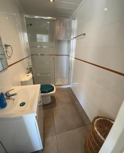 a bathroom with a shower and a toilet and a sink at ESTUDIO ÁTICO En URBANIZACIÓN ROQUETAS DE MAR in Roquetas de Mar