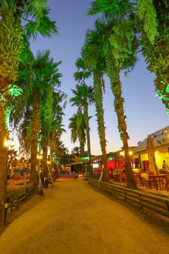 Imagen de la galería de Hotel Baba, en Gümbet