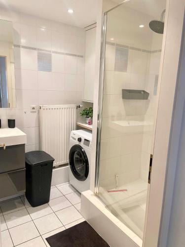 La salle de bains est pourvue d'un lave-linge et d'une douche. dans l'établissement L'ESCALE, proche Suisse, parking, à Hésingue