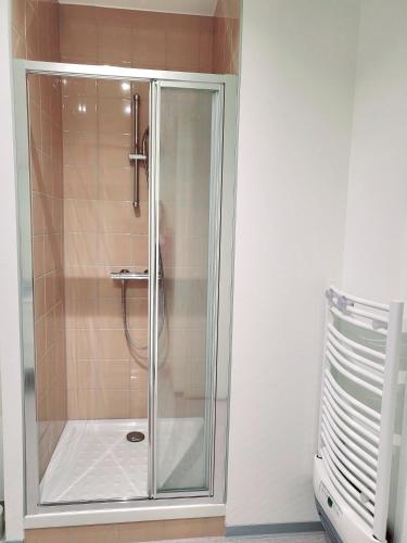 une douche avec une porte vitrée dans une salle de bain dans l'établissement Le chaleureux, 5min Bâle,Parking, à Saint-Louis