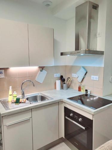 une petite cuisine avec un évier et une cuisinière dans l'établissement Le chaleureux, 5min Bâle,Parking, à Saint-Louis