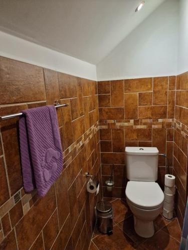 a bathroom with a toilet and a purple towel at Vlčí Jámy in Lenora