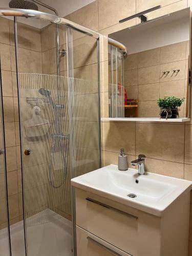 a bathroom with a sink and a shower at Relax & Lounge Apartments in Premantura