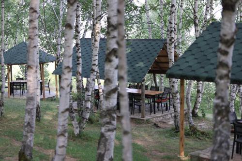 Gallery image of Stani i Hoxhes Hotel in Kukës