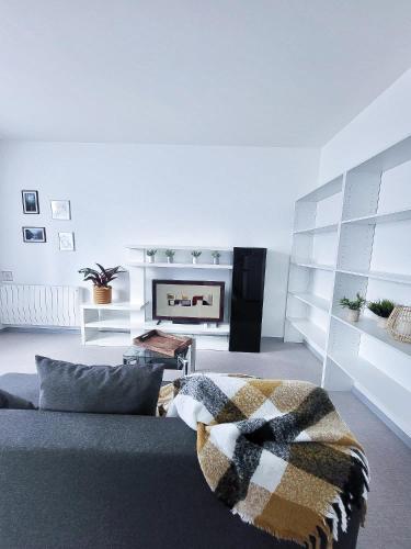 un salon avec un canapé et une cheminée dans l'établissement Le chaleureux, 5min Bâle,Parking, à Saint-Louis