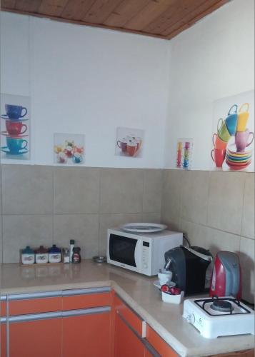 a kitchen with a counter top with a microwave at Chen Ba'Galil in Kahal
