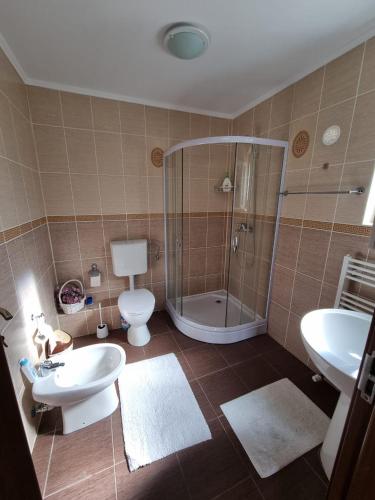 a bathroom with a shower and a toilet and a sink at Pensiunea Azurul in Sovata