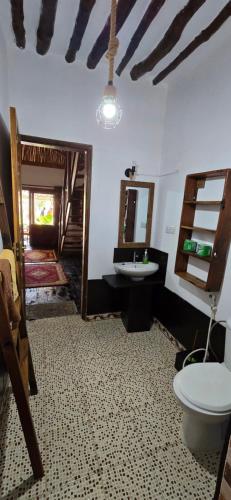 a bathroom with a toilet and a sink and a mirror at Salama & Mbuyuni Bungalows in Matemwe