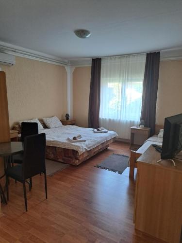a bedroom with a bed and a table and a television at Guesthouse Kristina in Palić