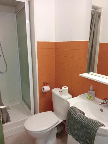 une salle de bain avec toilettes, douche et lavabo dans l'établissement Petit nid d’amour, au Cap d'Agde
