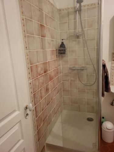 une douche avec une porte vitrée dans une salle de bain dans l'établissement Villa lorguaise, à Lorgues