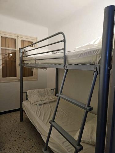 Ce lit superposé se trouve dans un dortoir doté de lits superposés. dans l'établissement Gruissan plage des chalets petit logement en rdc, à Gruissan