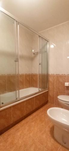 a bathroom with a shower and a toilet and a sink at Reivi Vilanova de Arousa in Villanueva de Arosa