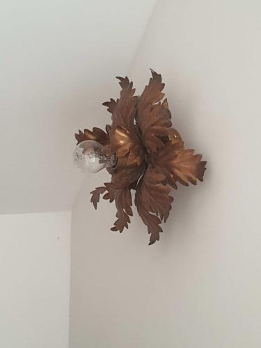 a ceiling light with a plant on a wall at Le Pressoir de mon Père in Foulbec