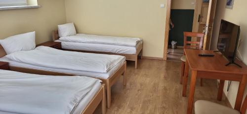 Μια τηλεόραση ή/και κέντρο ψυχαγωγίας στο Dom Wczasowy Centrum Pieniny
