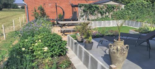 Un jardín fuera de Mote26