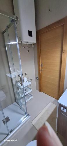 a bathroom with a glass shower and a wooden door at Apartments ROKO in Izola