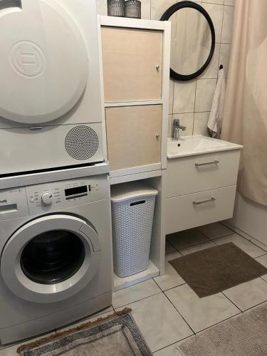 une salle de bain avec une machine à laver et un lavabo dans l'établissement Coccinelle, à Montataire