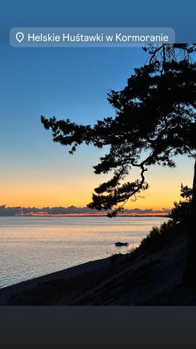 a tree on the shore of a body of water at Kergulena in Hel