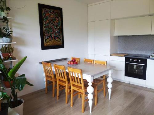 Przestronne mieszkanie przyjazne dzieciom i zwierzetom