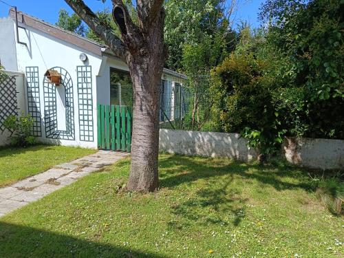 a tree in a yard next to a fence at La Maison de LULU proche baie de Somme in Eu