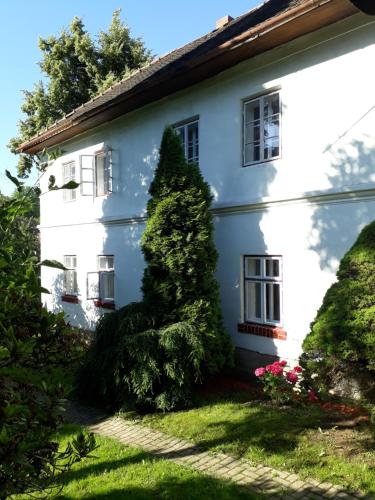 a white house with a tree in front of it at Chalupa Sehradický mlýn in Sehradice