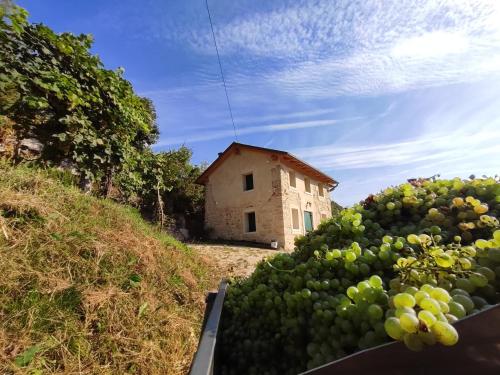 a pile of grapes in front of a building at Sul Collagù in Farra di Soligo
