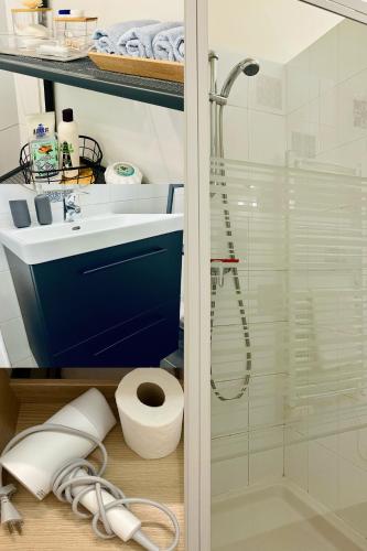 une salle de bain avec douche et toilettes dans l'établissement Wendy family flat with calm courtyard 3min for metro Paris in 10 mins, à Maisons-Alfort