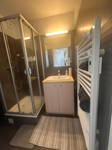 La petite salle de bains est pourvue d'une douche et d'un lavabo. dans l'établissement Studio vue sur la Tour Eiffel, à Nogent-sur-Marne