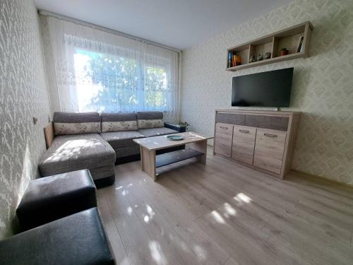 Μια τηλεόραση ή/και κέντρο ψυχαγωγίας στο TMG Bright Apartment