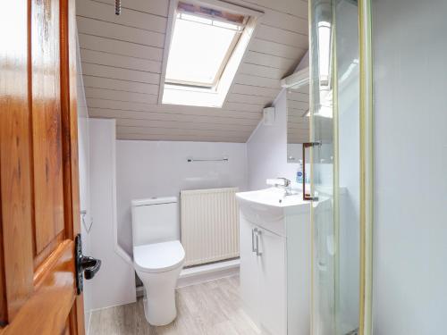 a bathroom with a toilet and a sink and a window at Llys-y-Wennol in Betws-y-coed