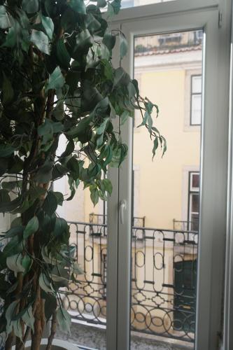 Balkoni atau teres di Lost Inn Lisbon Hostel