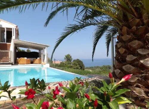 une villa avec piscine et palmier dans l'établissement Villa avec vue sur la mer à Sari-Solenzara, piscine privée, à Sari-Solenzara