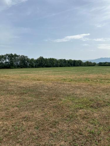 a large open field with trees in the background at Room Villa gate parking in Omarë