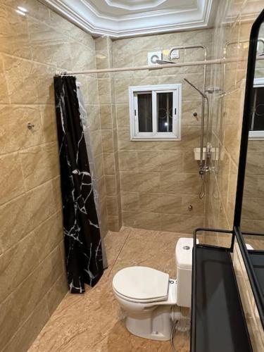 a bathroom with a toilet and a shower at Apartment Complex bijilo The gambia in Bijilo