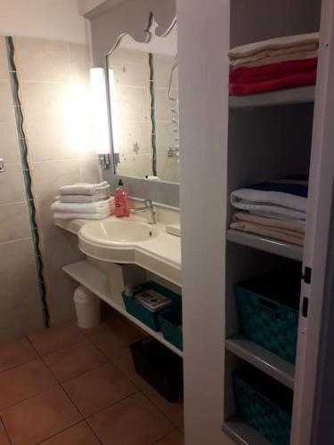 a bathroom with a sink and a mirror and towels at Le Colibri du Paradis in Sainte-Anne