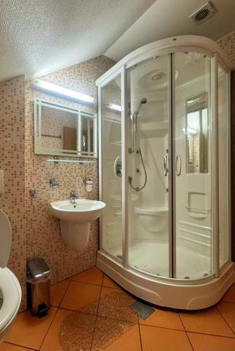 a bathroom with a shower and a sink at La Cuib Cristian Sibiu in Cristian