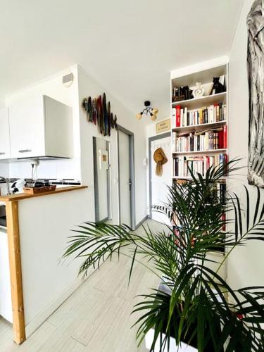 un salon avec une plante et une étagère à livres dans l'établissement Charmant studio Horizon & Océan, à Anglet