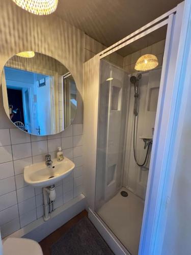 une salle de bain avec un lavabo, une douche et un miroir dans l'établissement Île logoden, à Paimpol